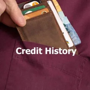 CIBIL Score(Credit History) Check